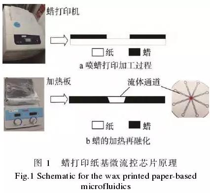 使用蠟打印加工紙基微流控芯片的方法，其基本原理見圖1。
